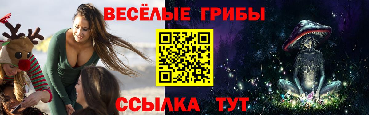 Псилоцибиновые грибы Cubensis  Псилоцибиновые грибы Psilocybine cubensis  Новоалександровск  Вход с VPN 